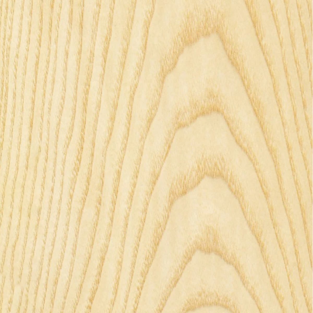 European Ash wood grain texture